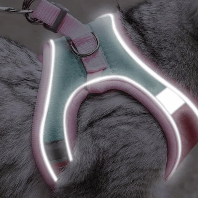 ESCAPE-PROOF CAT HARNESS + LEASH