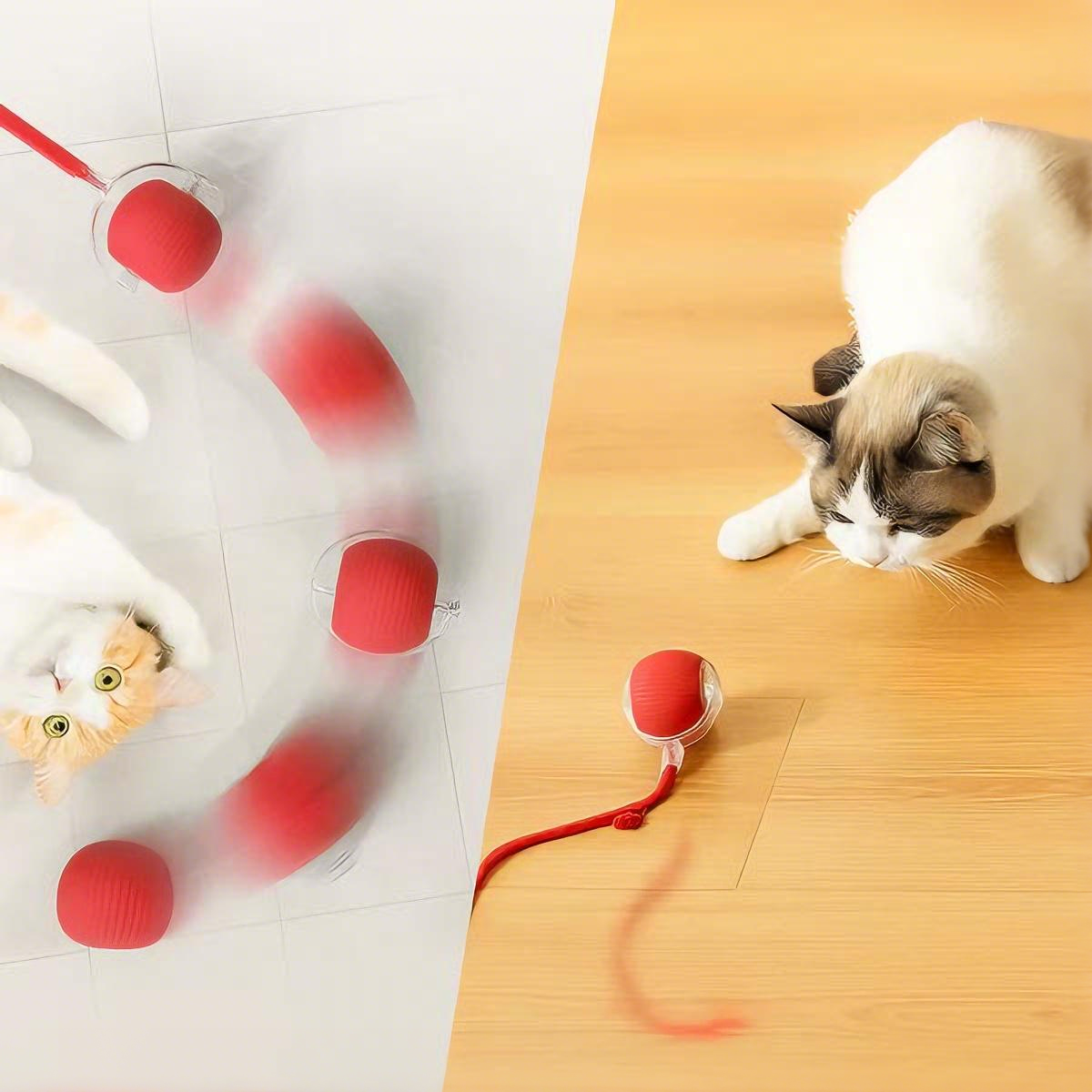 🐶 Pet Moving Ball 🐱 That Keeps Pets Active & Happy — Automatically