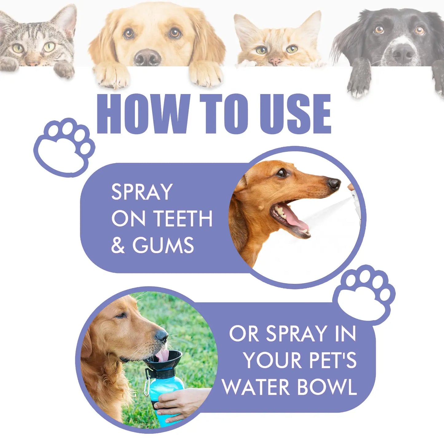 Eternitytm🍃No-Brushing Oral Care Spray for Dogs & Cats