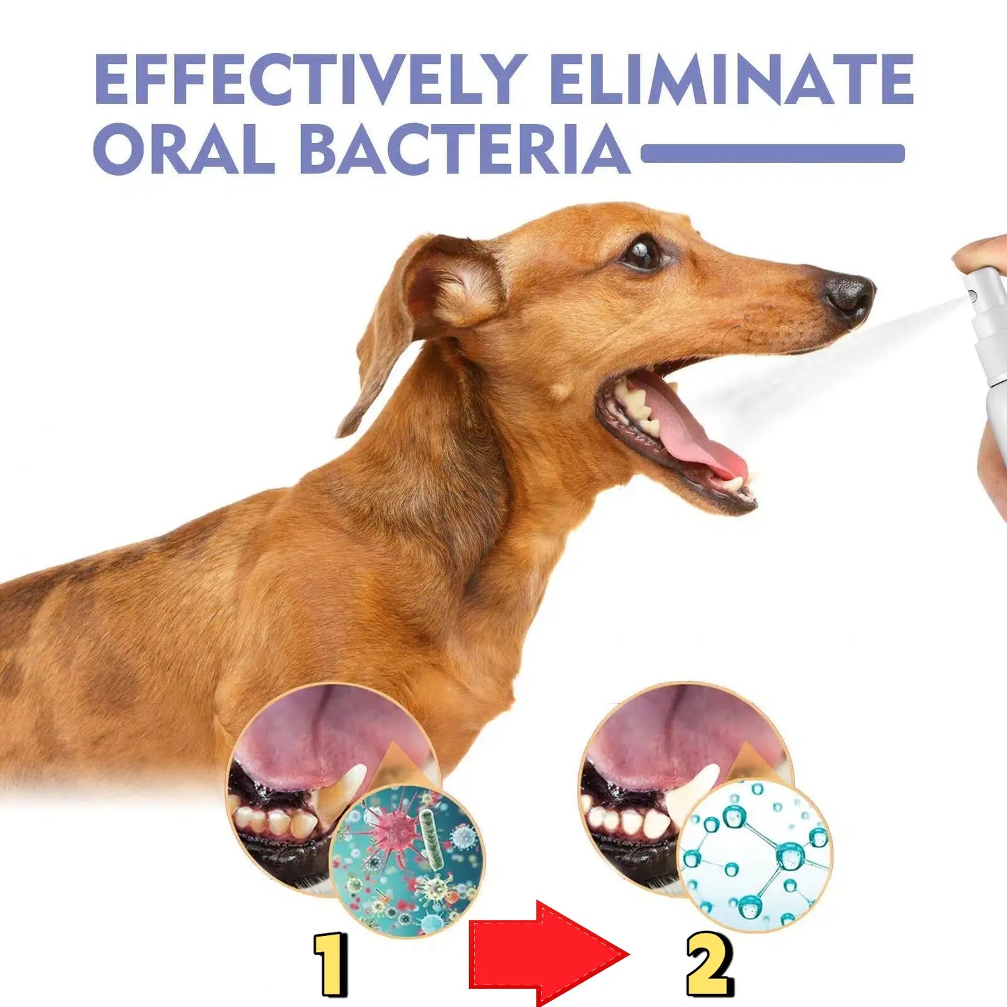 Eternitytm🍃No-Brushing Oral Care Spray for Dogs & Cats